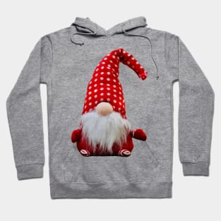 Gnome Hoodie